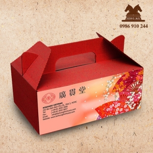 Mẫu carton CAR02